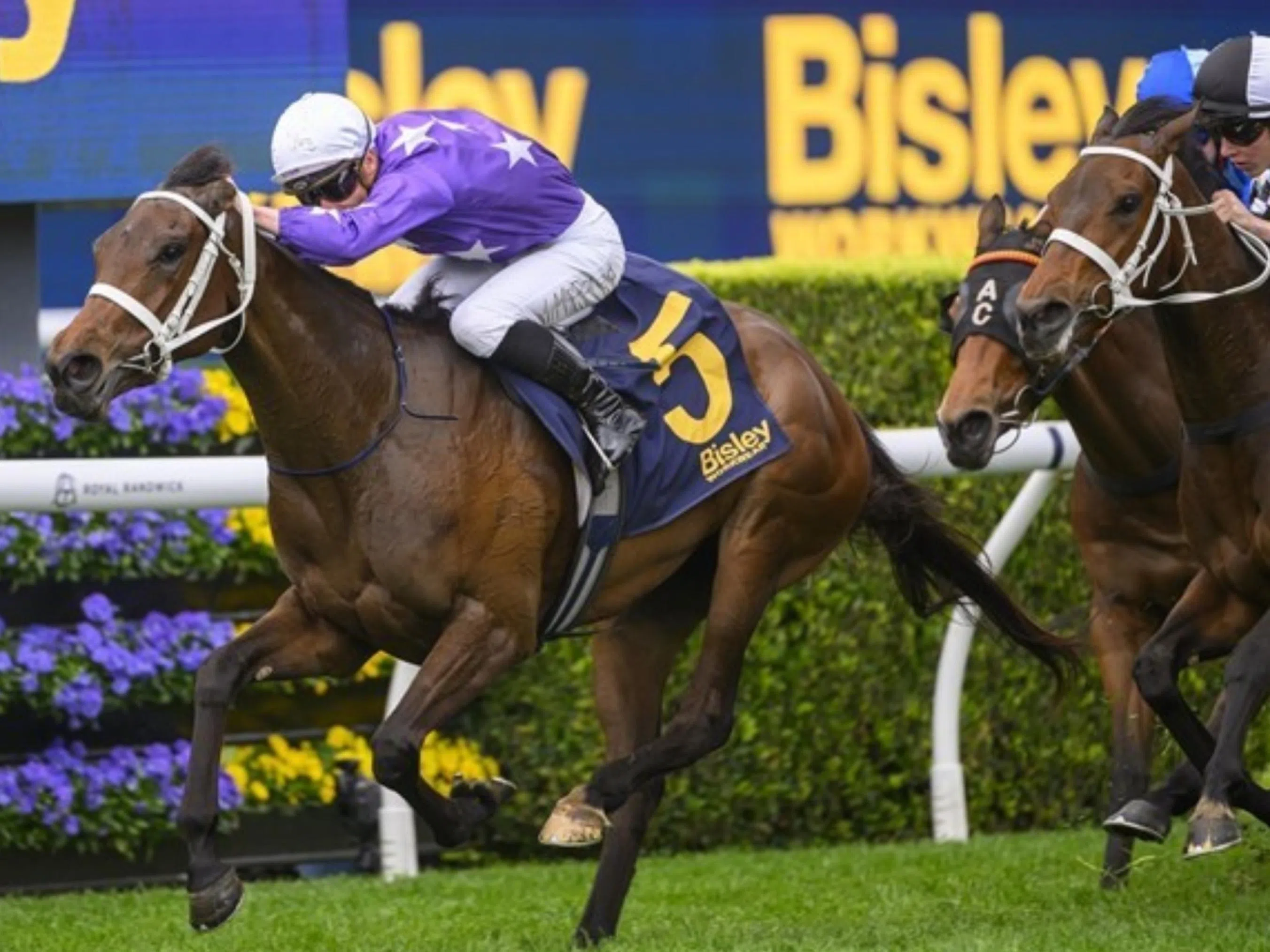 Australian Derby may be written in Star's Aeliana